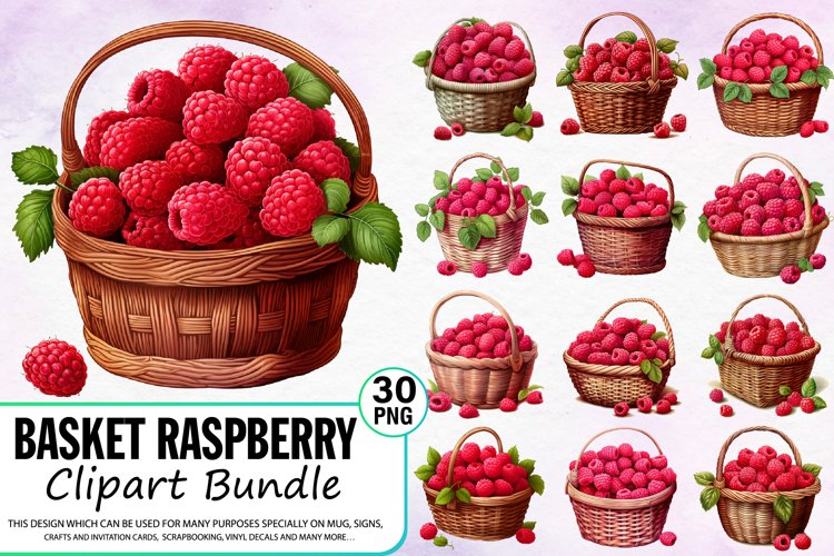 Watercolor Basket Raspberry Clipart Bundle