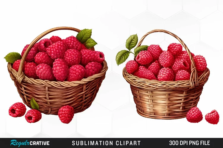 Watercolor Basket Raspberry Clipart