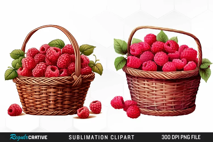 Watercolor Basket Raspberry Clipart
