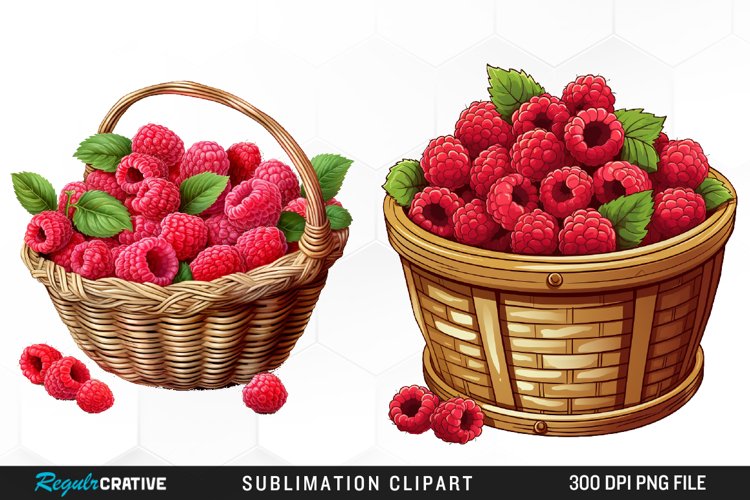 Raspberry Illustration Image 18