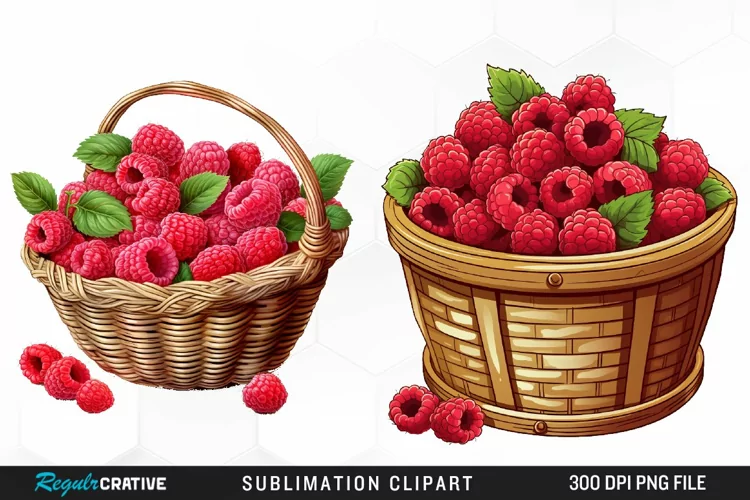 Watercolor Basket Raspberry Clipart