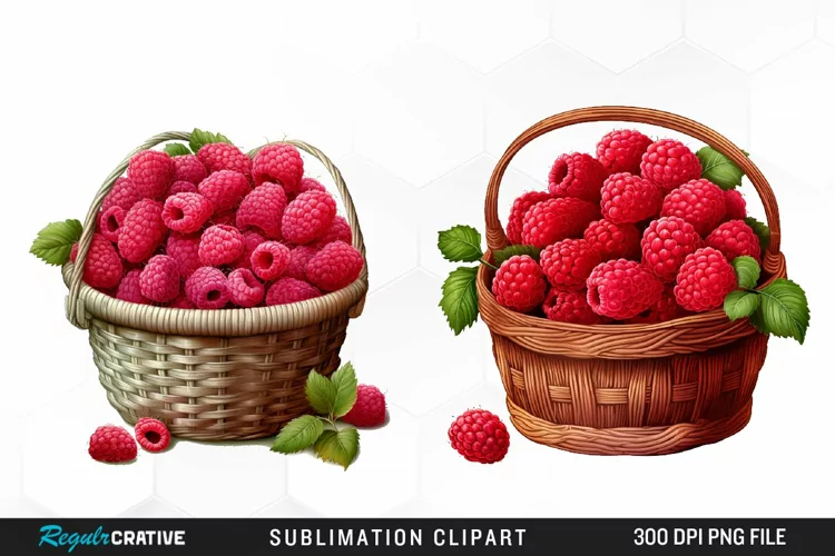Watercolor Basket Raspberry Clipart