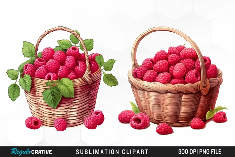 Watercolor Basket Raspberry Clipart