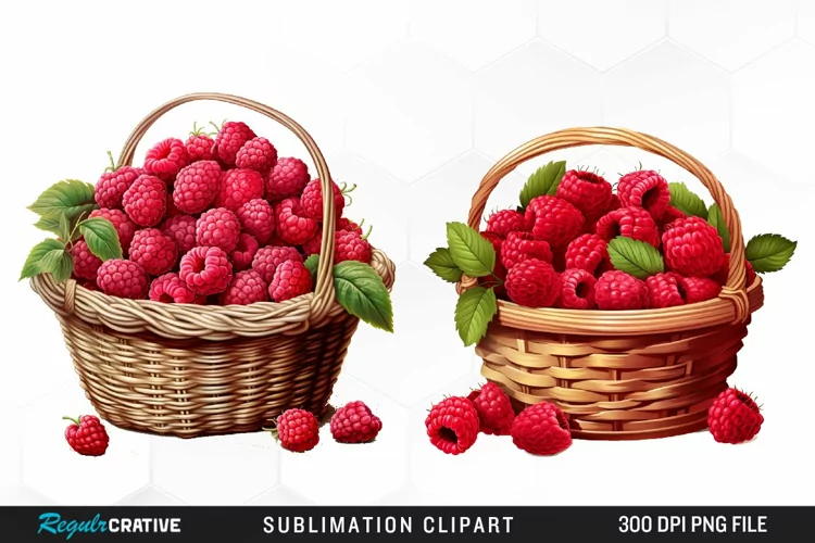 Watercolor Basket Raspberry Clipart