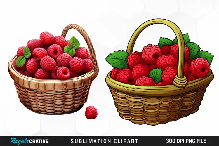 Watercolor Basket Raspberry Clipart