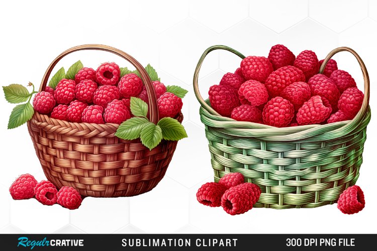 Raspberry Illustration Image 19