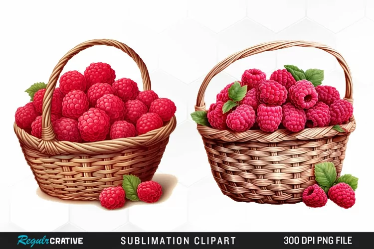 Watercolor Basket Raspberry Clipart