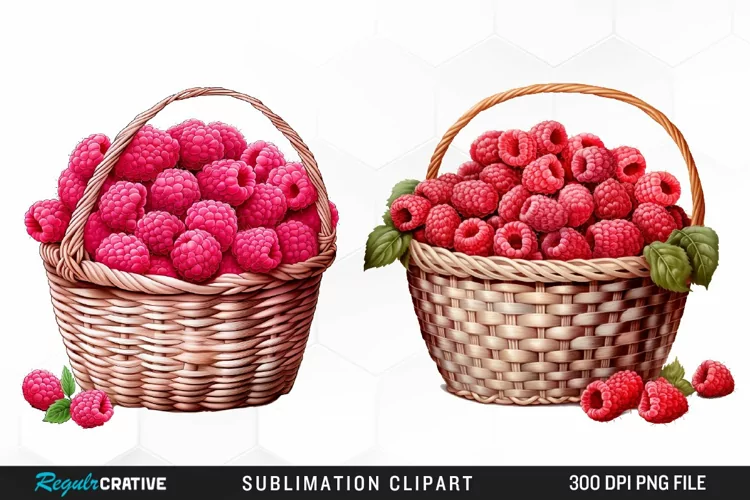 Watercolor Basket Raspberry Clipart