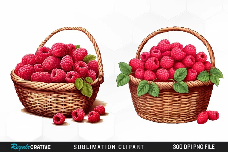 Watercolor Basket Raspberry Clipart