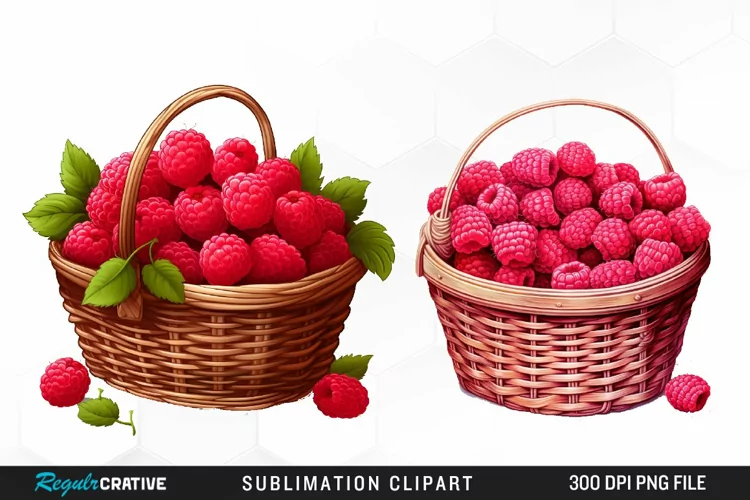 Watercolor Basket Raspberry Clipart