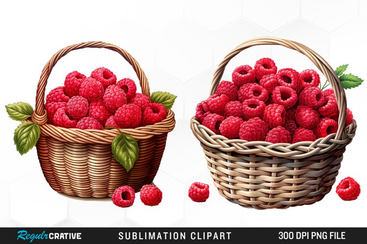Raspberry Illustration Image 7