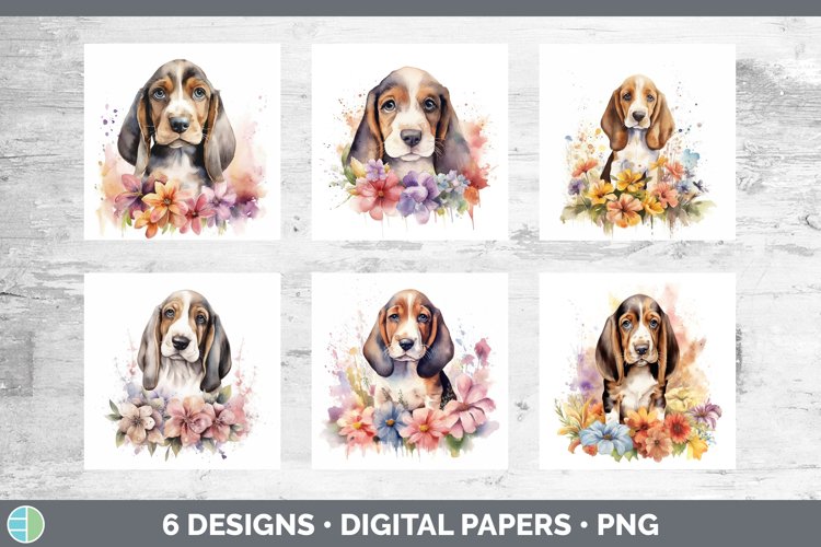 Basset Hound Clipart