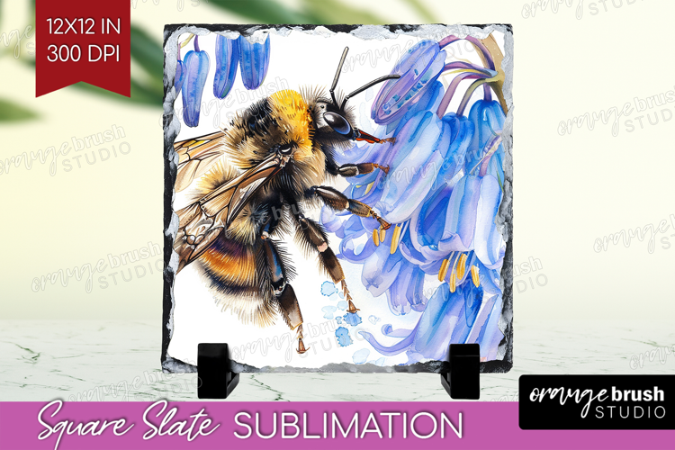 Bee Slate PNG - Watercolor Bee Square Slate Sublimation