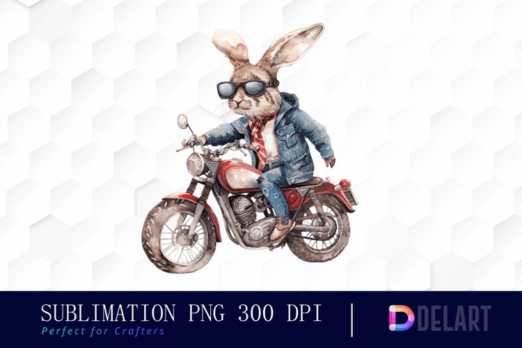 Rabbit Illustration Image 8