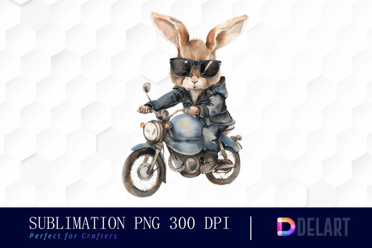 Rabbit Illustration Image 13