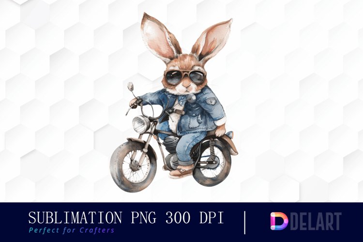Rabbit Illustration Image 19
