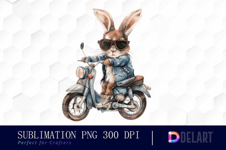 Rabbit Illustration Image 12