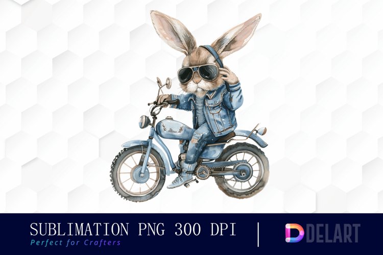 Rabbit Illustration Image 13