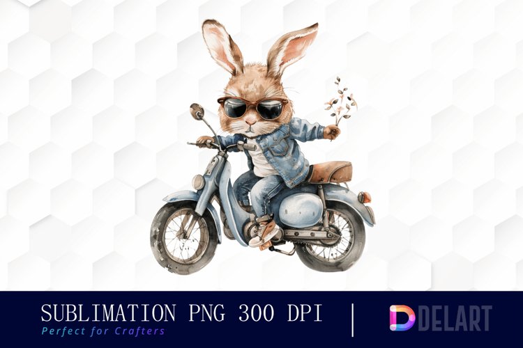 Rabbit Illustration Image 16