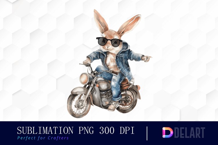 Rabbit Illustration Image 10