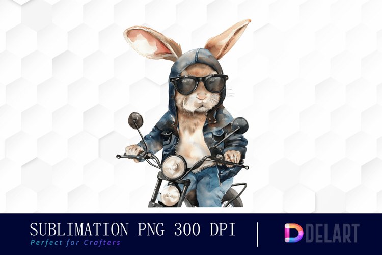 Rabbit Illustration Image 17
