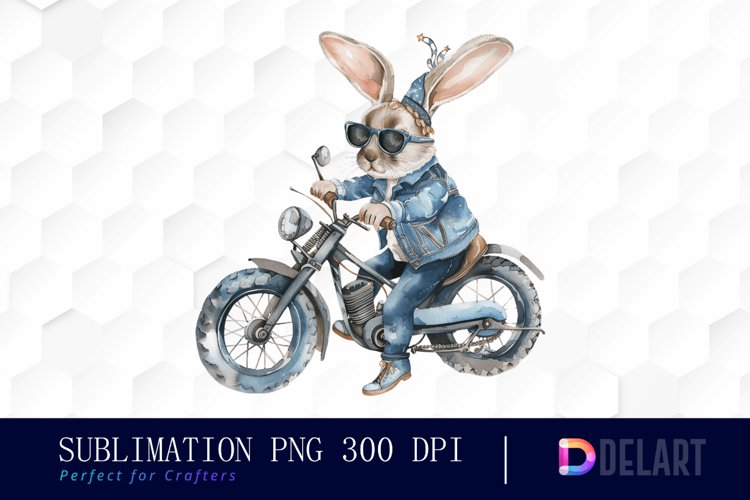 Rabbit Illustration Image 20