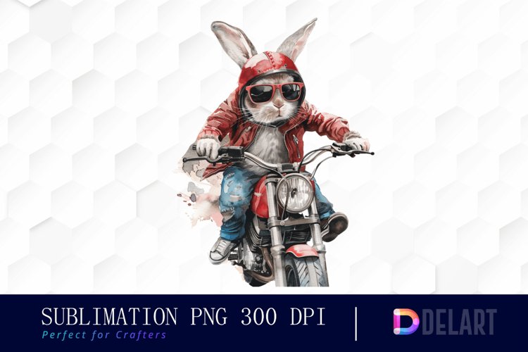 Rabbit Illustration Image 2