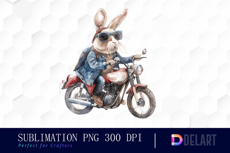 Rabbit Illustration Image 15