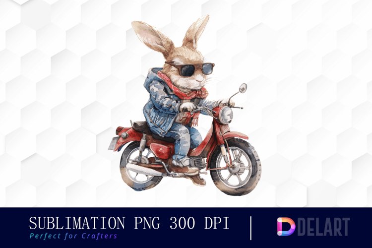 Rabbit Illustration Image 22