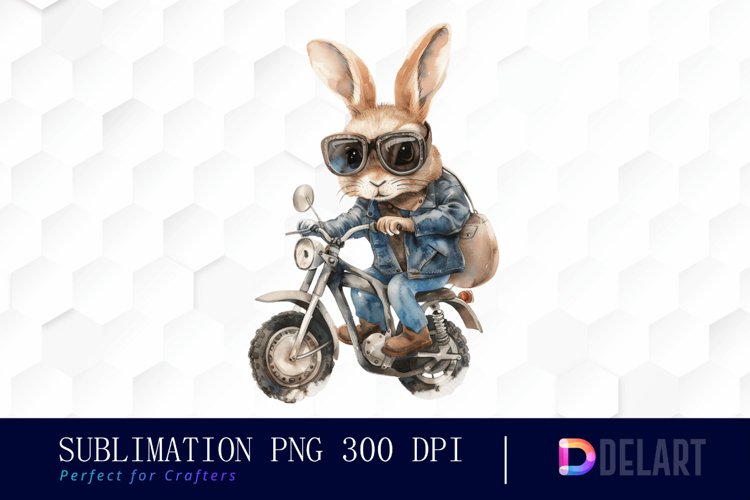 Rabbit Illustration Image 11