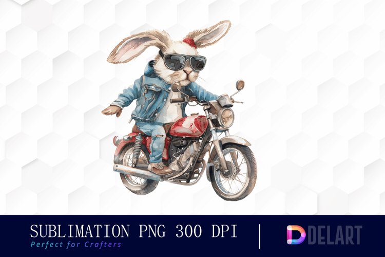 Rabbit Illustration Image 7