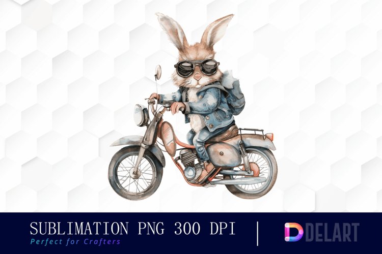 Rabbit Illustration