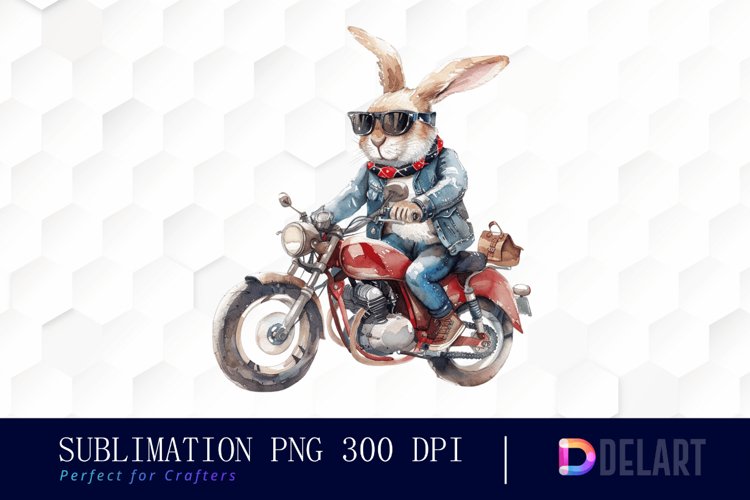 Rabbit Illustration Image 21