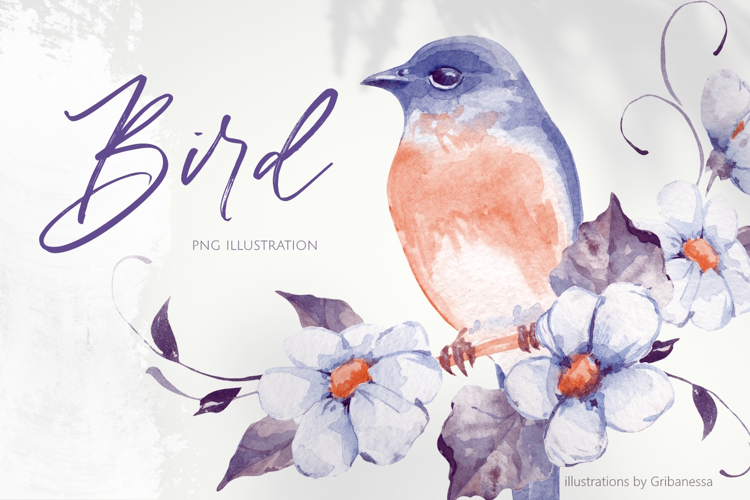 Watercolor Bird and Flower Illustration PNG