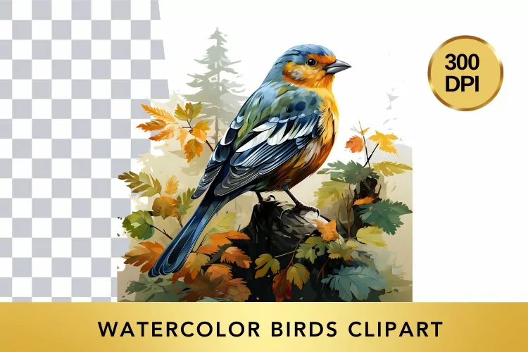 Watercolor birds Clipart , Animal Sublimation PNG