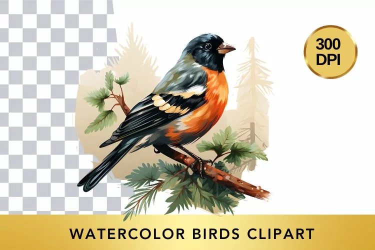 Watercolor birds Clipart , Animal Sublimation PNG