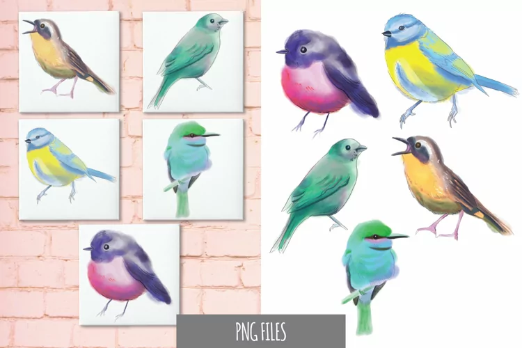 Watercolor of Bird Breeds Sublimation