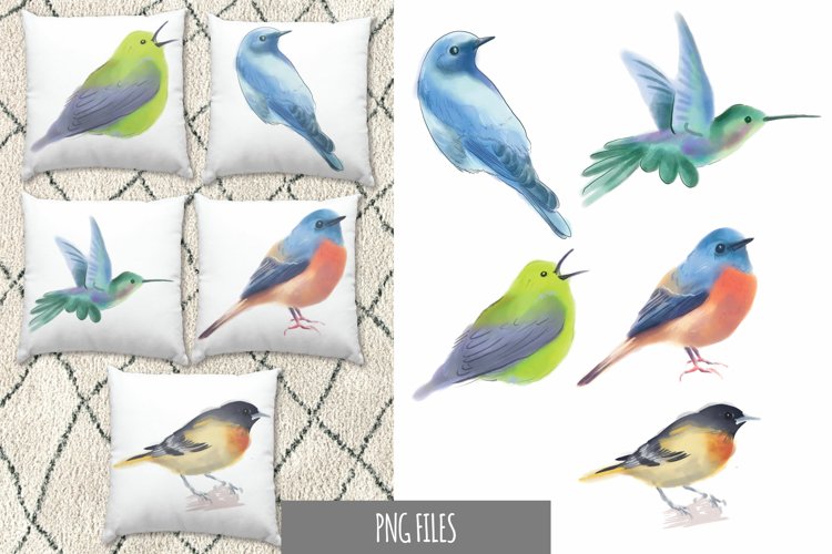 Bird PNG Image 9