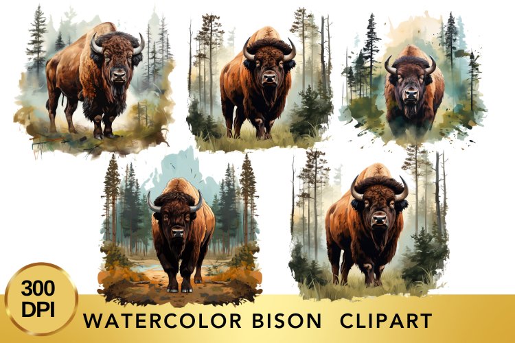 Bison Clipart Image 15