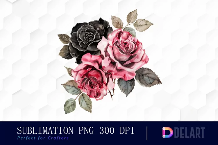 Black and Pink Roses Watercolor Clipart