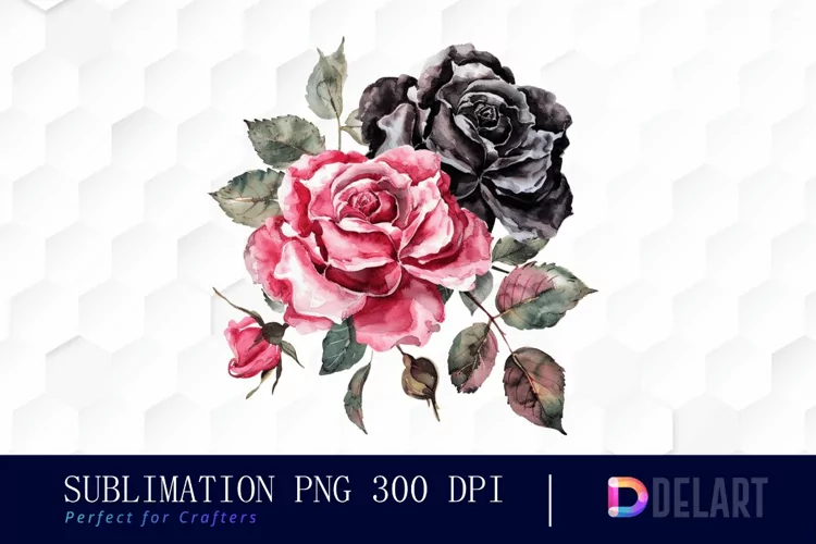 Black and Pink Roses Watercolor Clipart