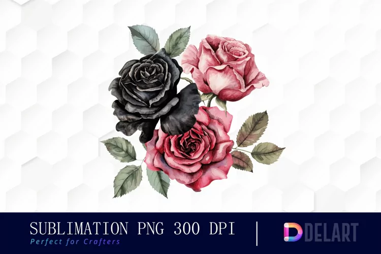 Black and Pink Roses Watercolor Clipart