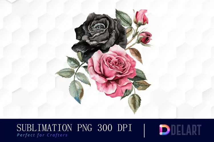 Black and Pink Roses Watercolor Clipart