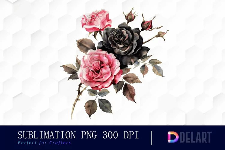Black and Pink Roses Watercolor Clipart