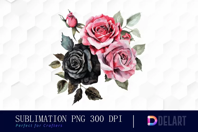 Black and Pink Roses Watercolor Clipart