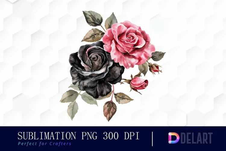 Black and Pink Roses Watercolor Clipart