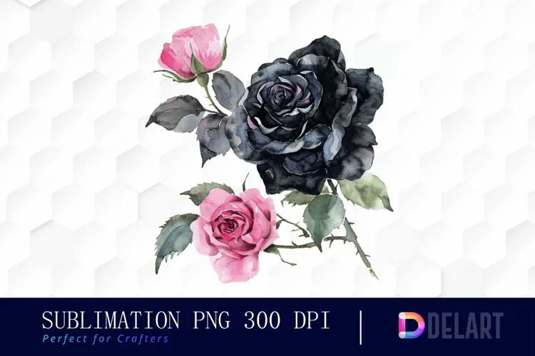Black and Pink Roses Watercolor Clipart