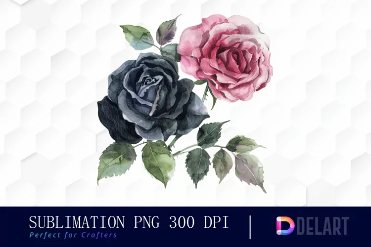 Black and Pink Roses Watercolor Clipart