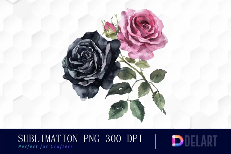 Black and Pink Roses Watercolor Clipart
