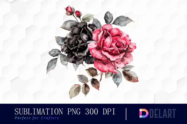 Black and Pink Roses Watercolor Clipart